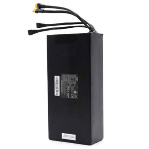 48V 19,2A/H Akku für SmartGyro Speedway [eWheel]